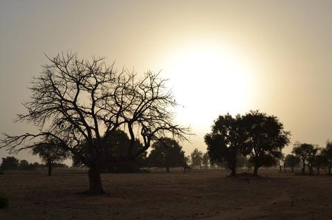 Sonnenuntergang im sahel